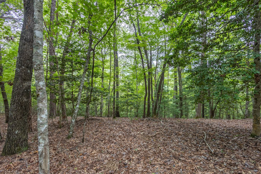 Lot 26 26 Persimmon Road Property Photo 7
