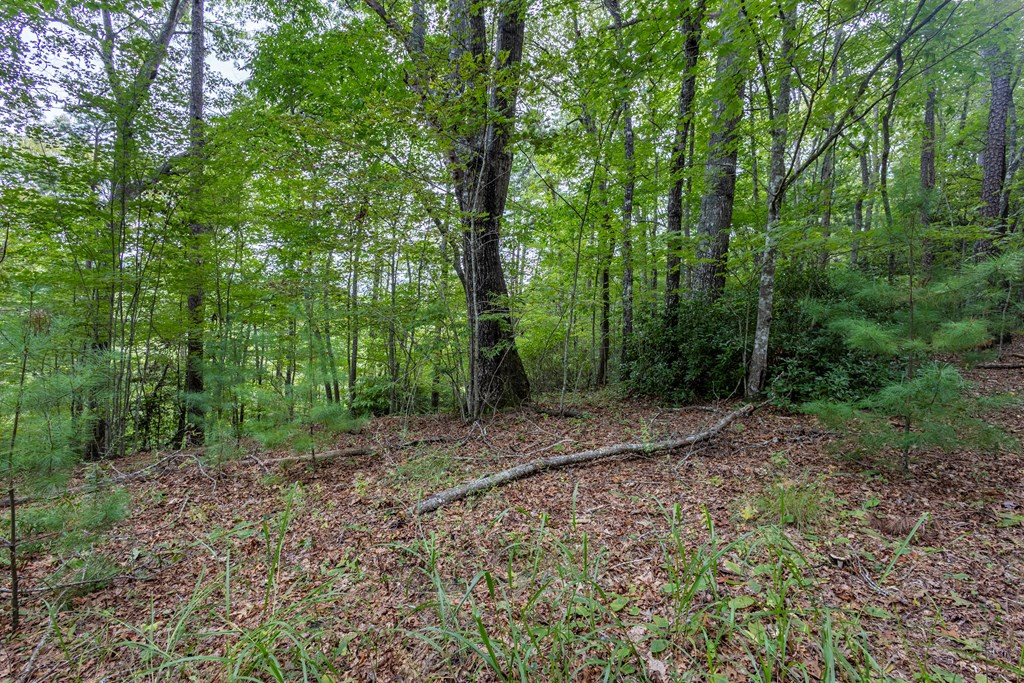 Lot 26 26 Persimmon Road Property Photo 8