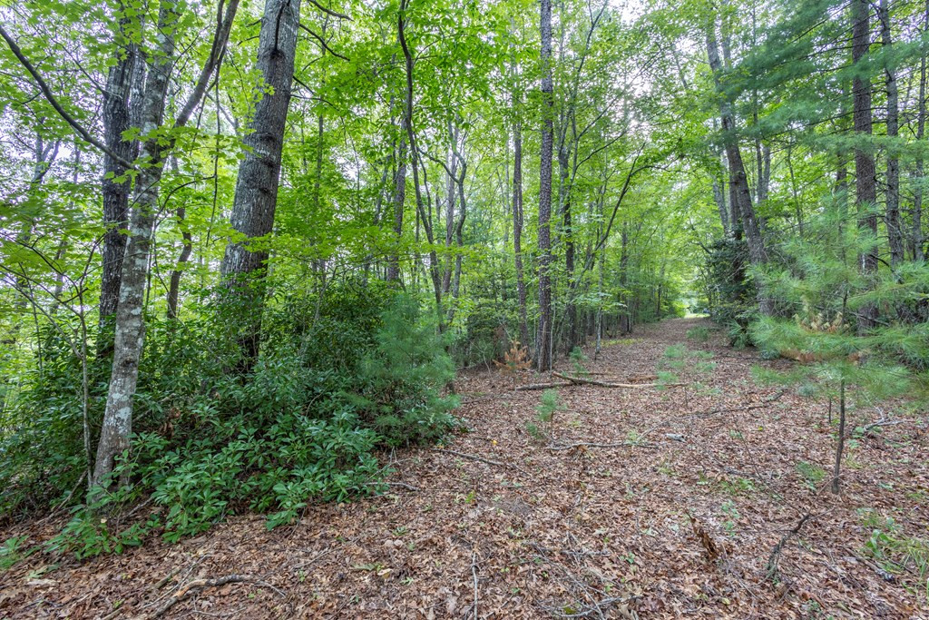 Lot 26 26 Persimmon Road Property Photo 9