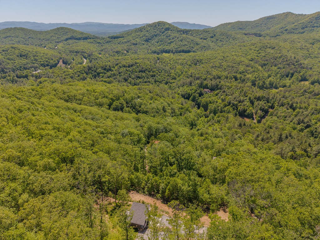 58 Mutt Ridge Property Photo 11
