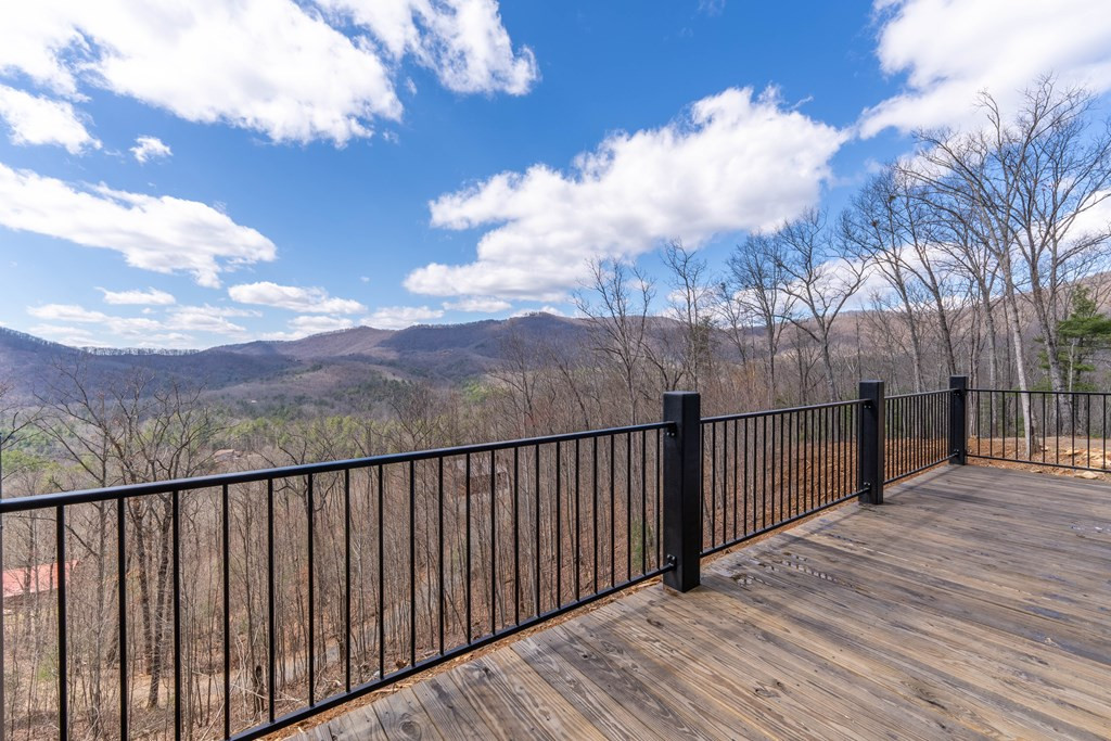 58 Mutt Ridge Property Photo 17