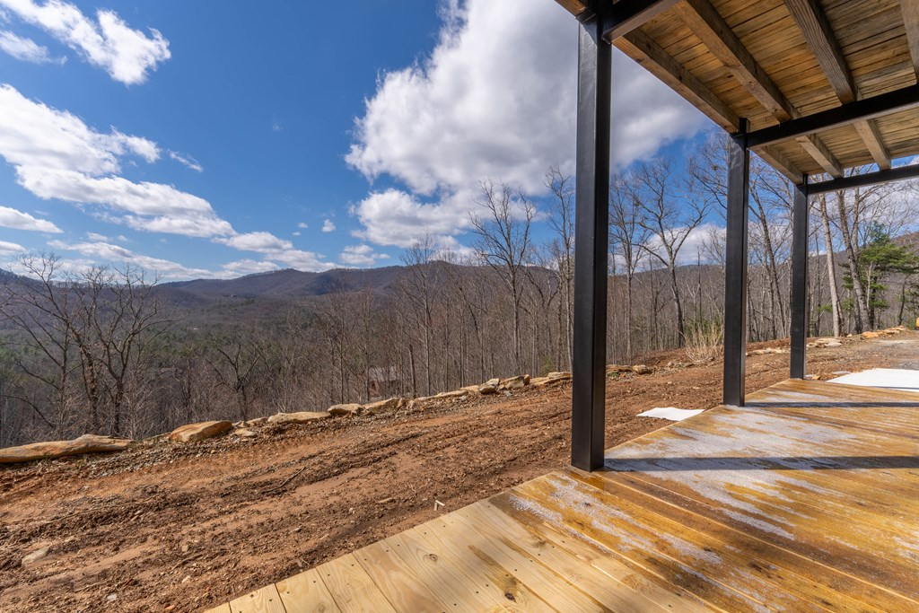 58 Mutt Ridge Property Photo 32