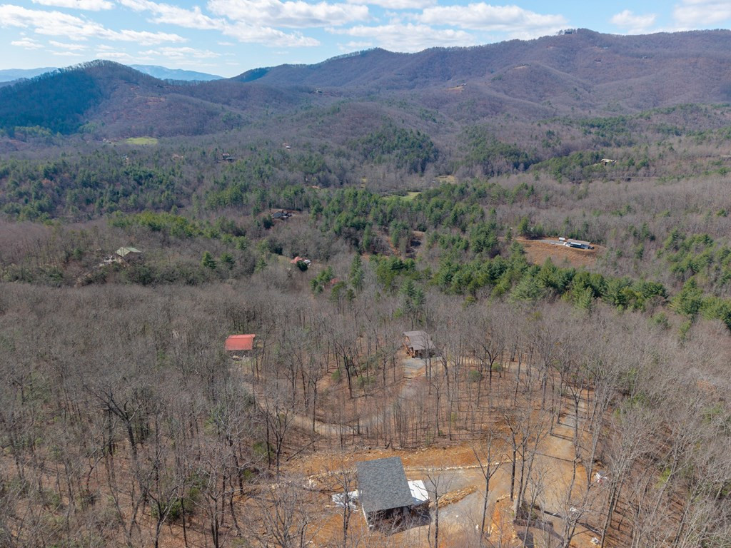 58 Mutt Ridge Property Photo 33