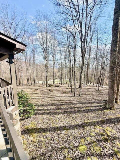 1221 Sam Cove Property Photo 31