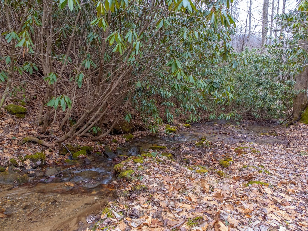 1221 Sam Cove Property Photo 37