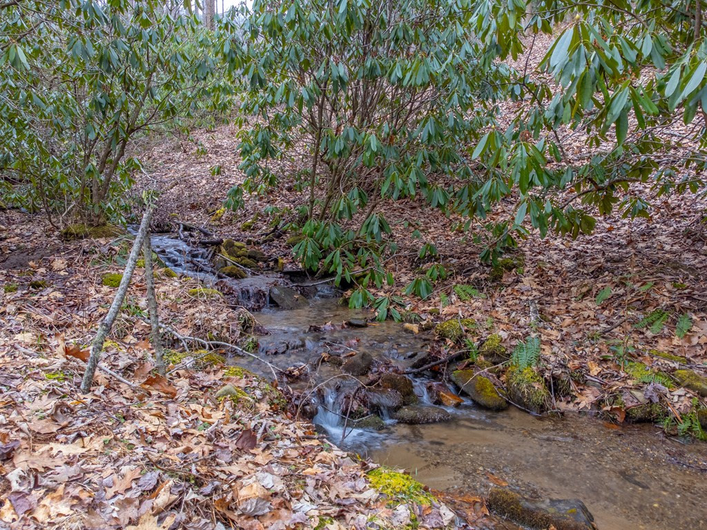 1221 Sam Cove Property Photo 38