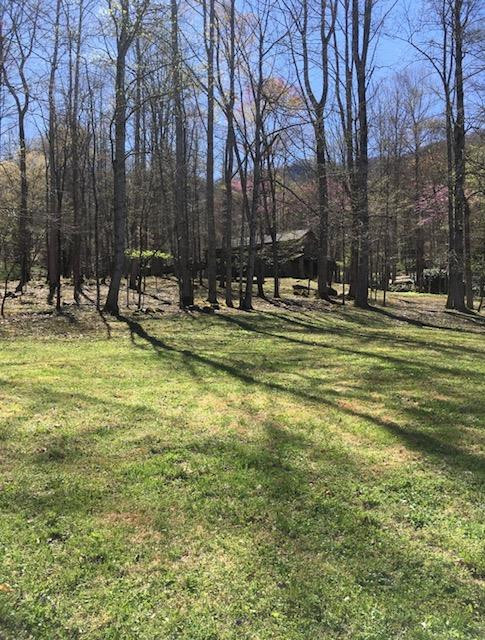 1221 Sam Cove Property Photo 41