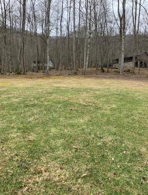 1221 Sam Cove Property Photo 61