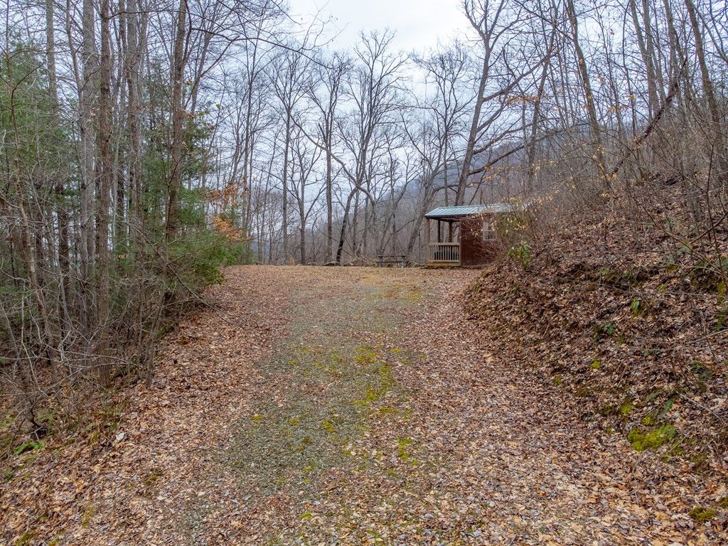 1221 Sam Cove Property Photo 62