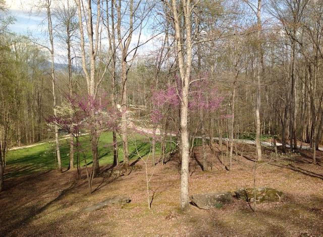 1221 Sam Cove Property Photo 68