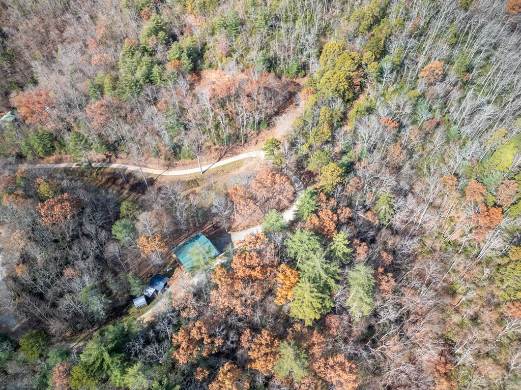 212 Pendergrass Road Property Photo 36
