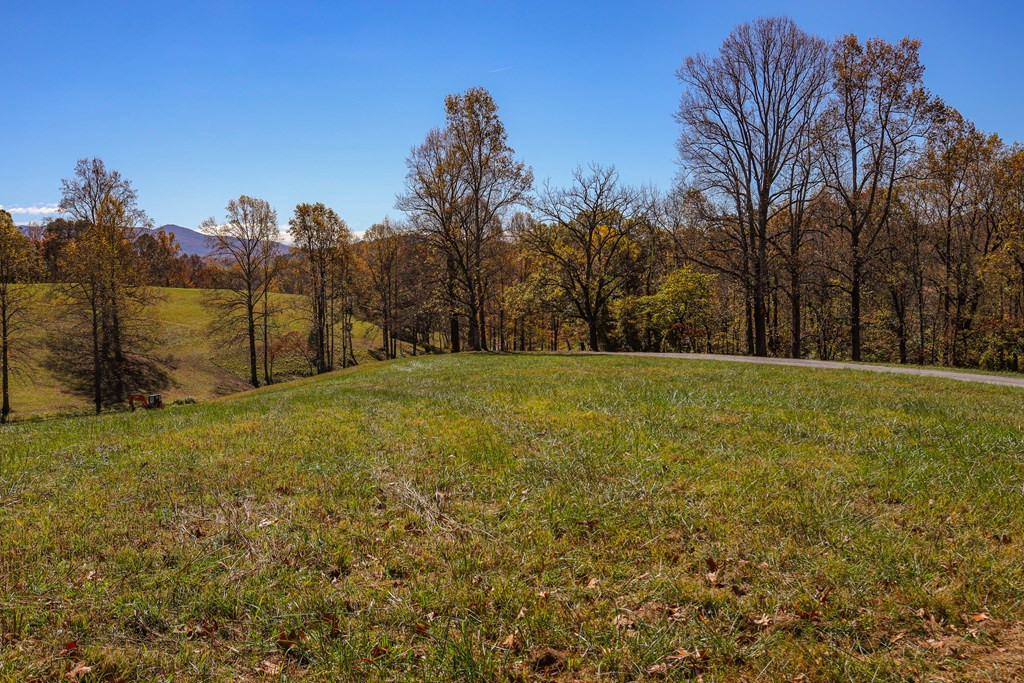 Lot 7 Hinton Property Photo 11