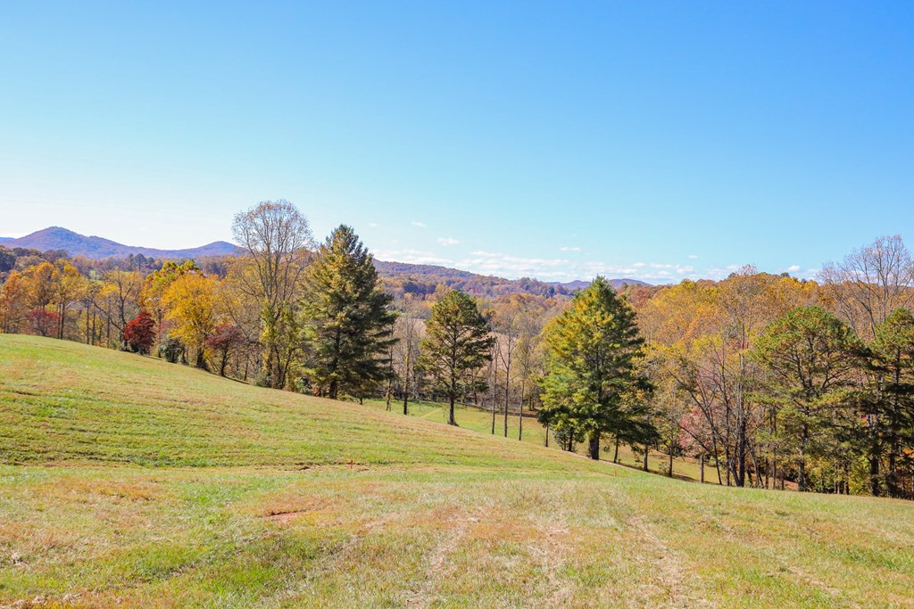 Lot 7 Hinton Property Photo 15