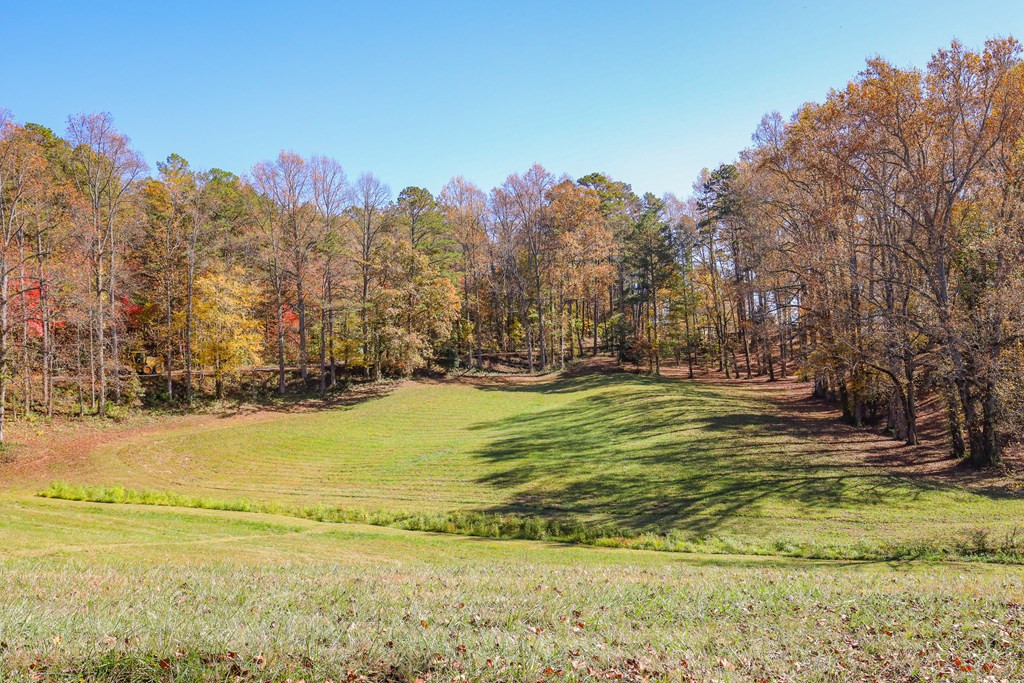 Lot 7 Hinton Property Photo 17