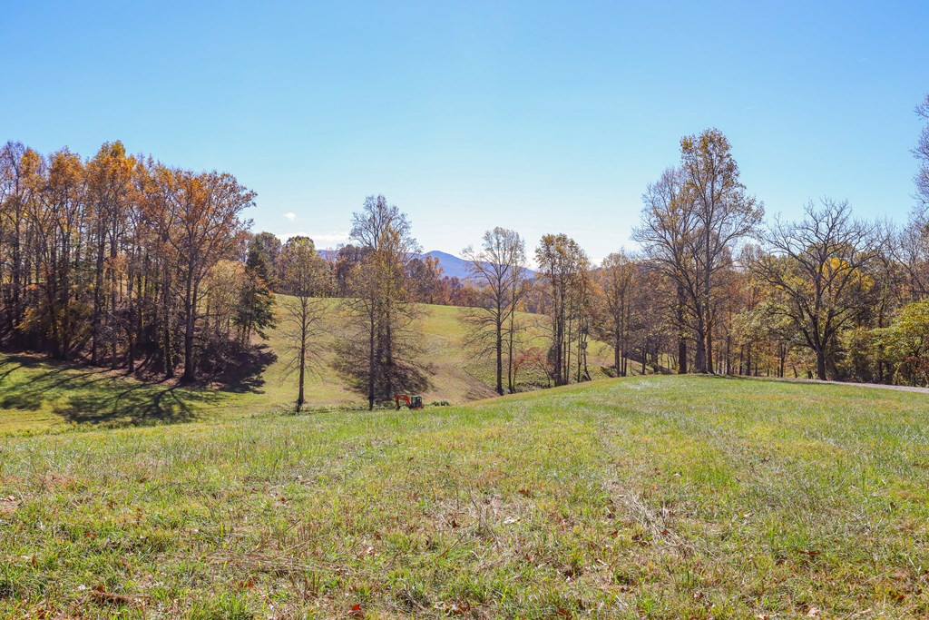 Lot 7 Hinton Property Photo 18