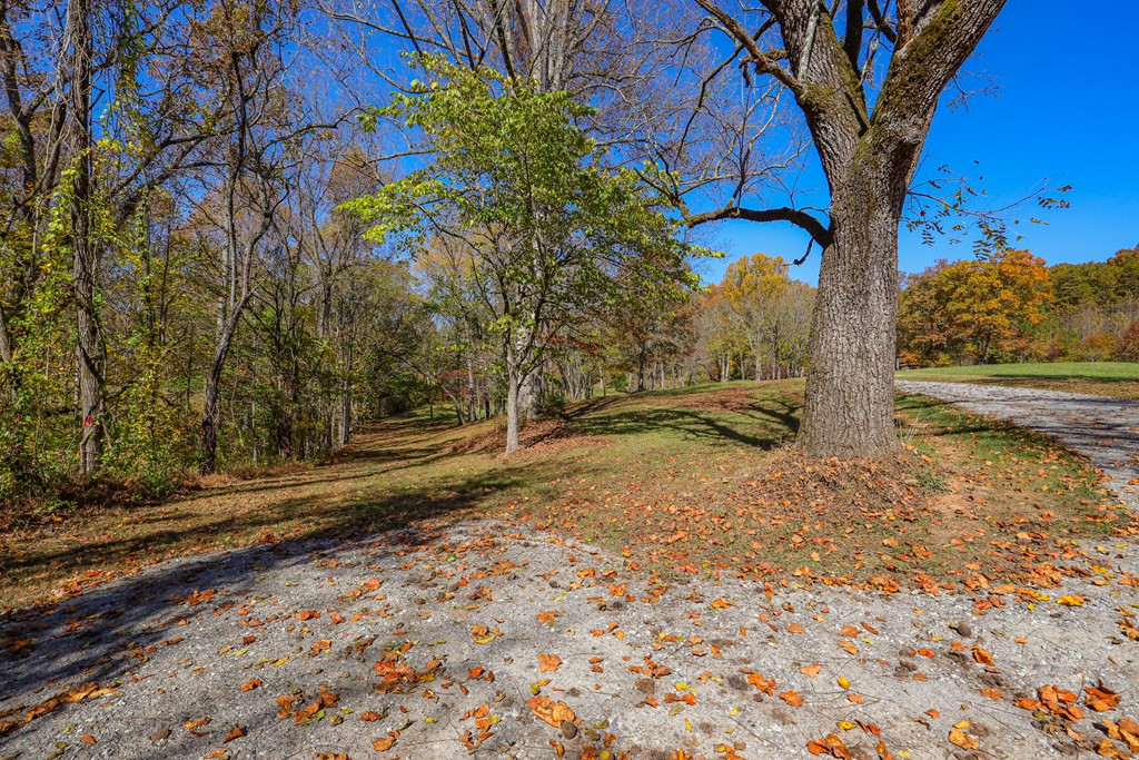 Lot 7 Hinton Property Photo 20