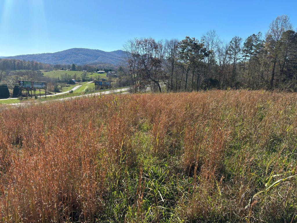 Lots 1-4 Windy Ridge Terrace & Highway