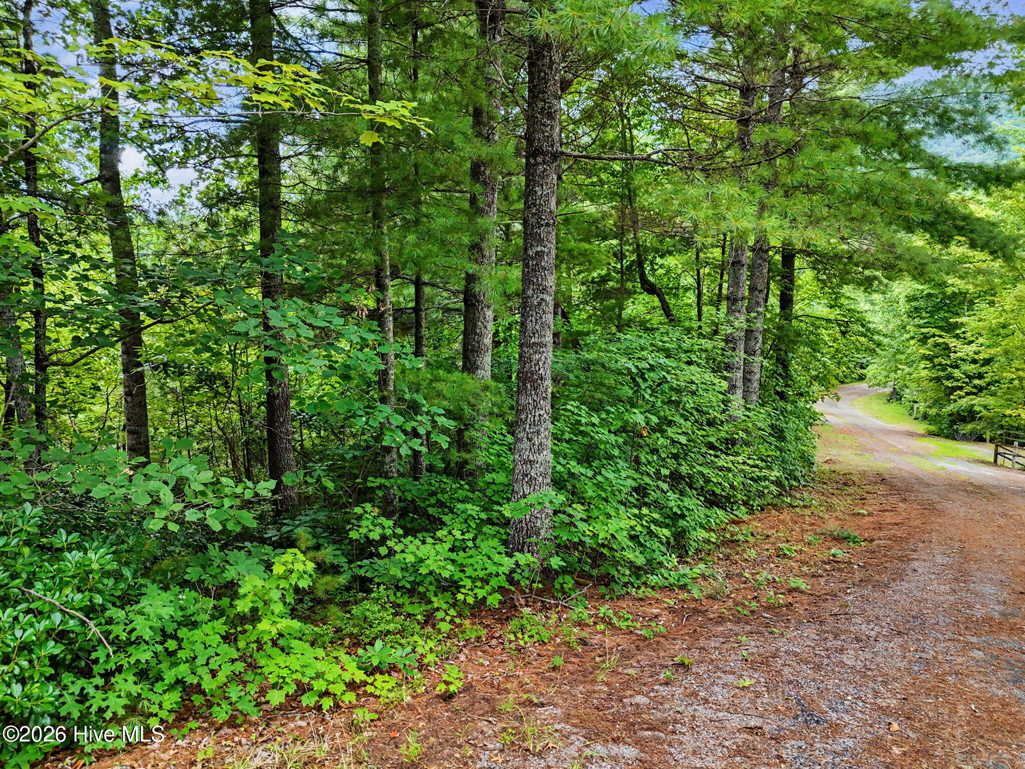 Lot 14 Whisper Woods Estates Property Photo 6