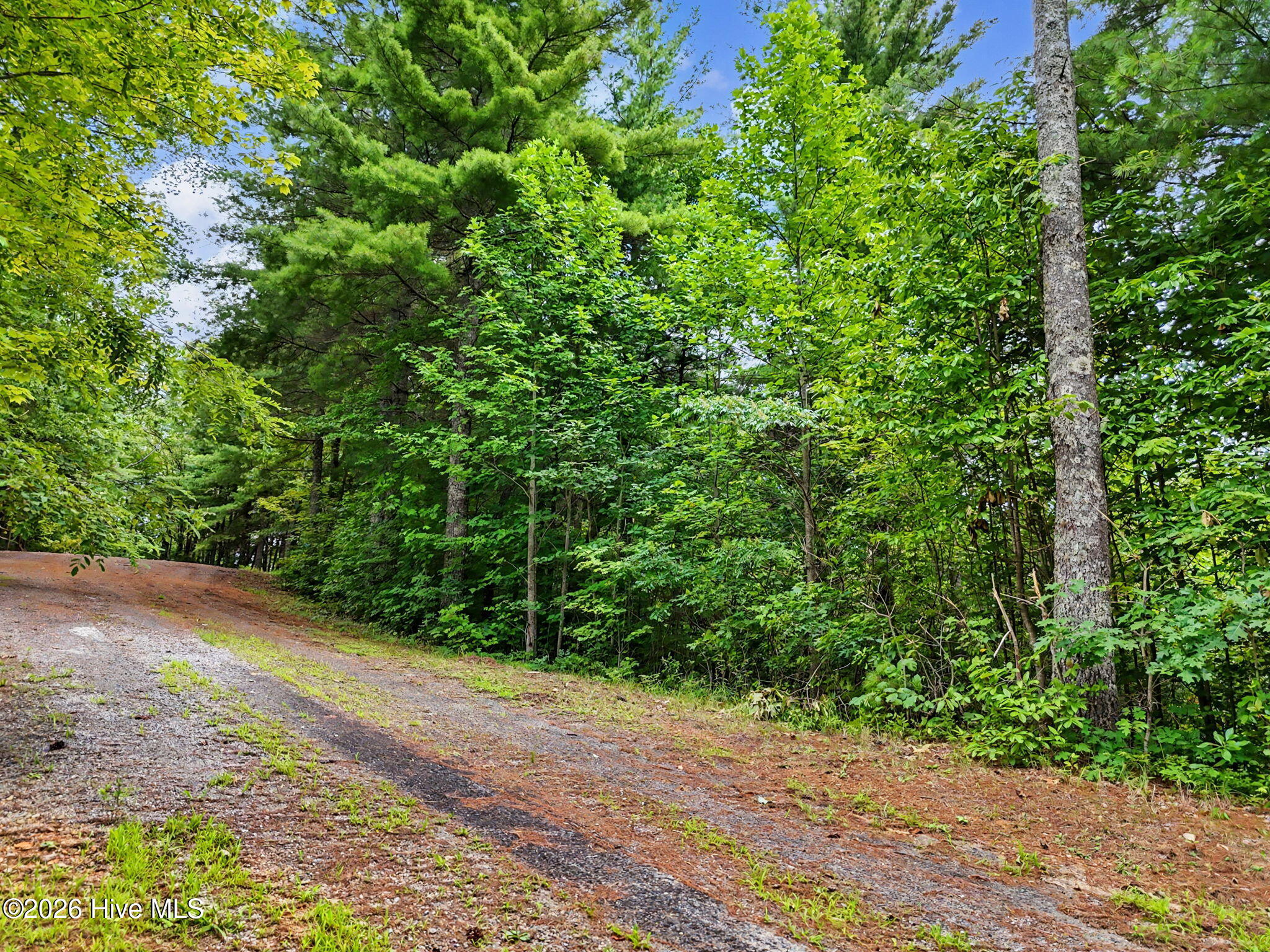 Lot 14 Whisper Woods Estates Property Photo 8