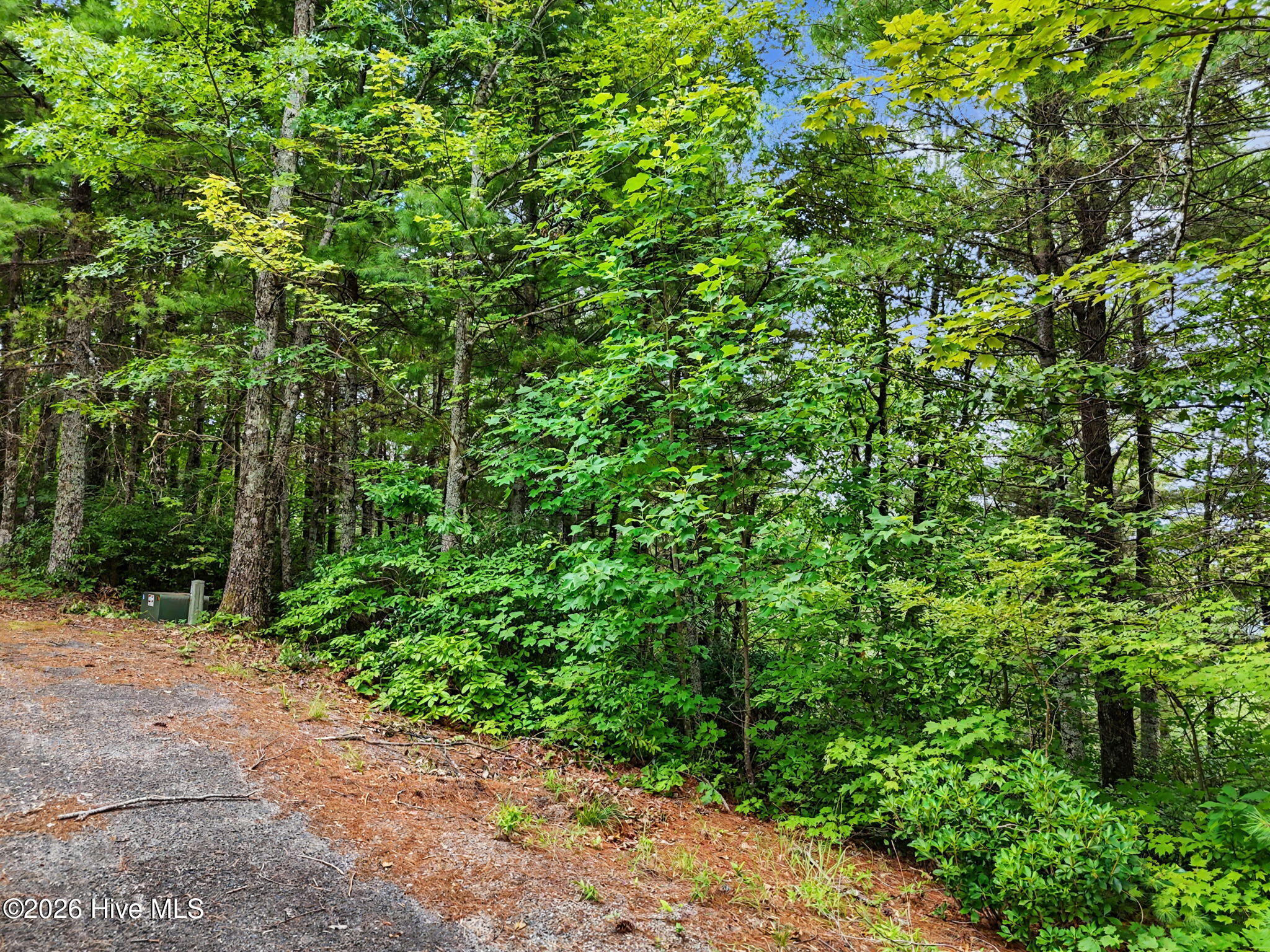 Lot 14 Whisper Woods Estates Property Photo 9
