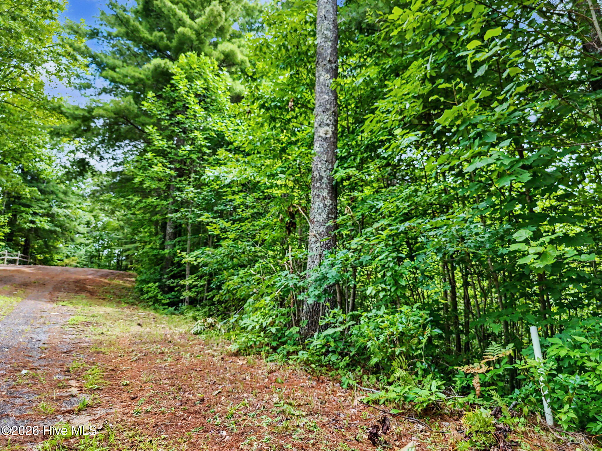 Lot 14 Whisper Woods Estates Property Photo 10