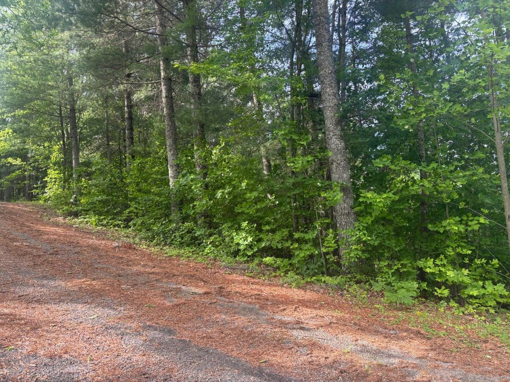 Lot 14 Whisper Woods Estates Property Photo 11