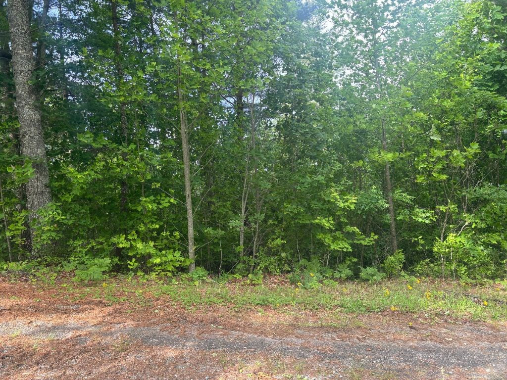 Lot 14 Whisper Woods Estates Property Photo 22