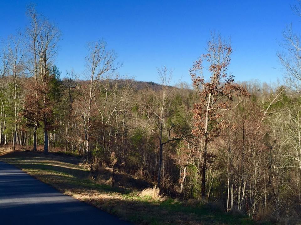 Lot #94 River Mountain Road Property Photo 1