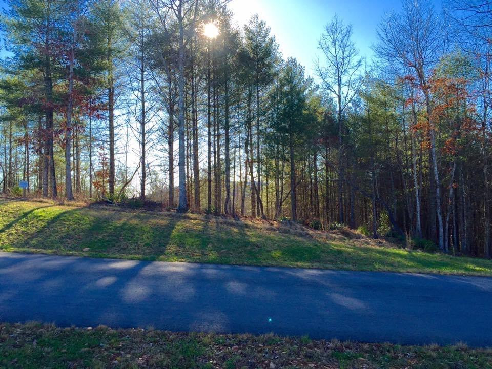 Lot #94 River Mountain Road Property Photo 2