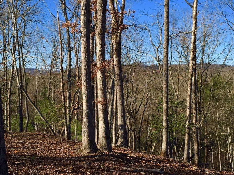 Lot #94 River Mountain Road Property Photo 3
