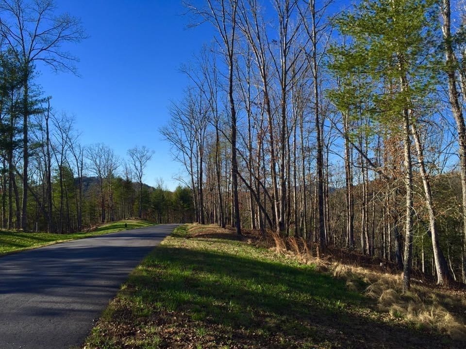 Lot #94 River Mountain Road Property Photo 4