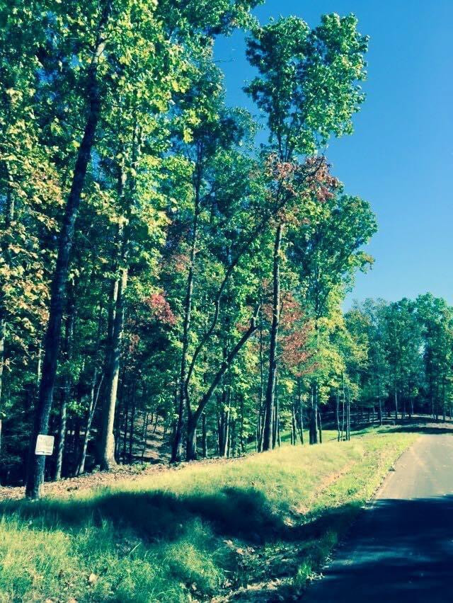 Lot #94 River Mountain Road Property Photo 5