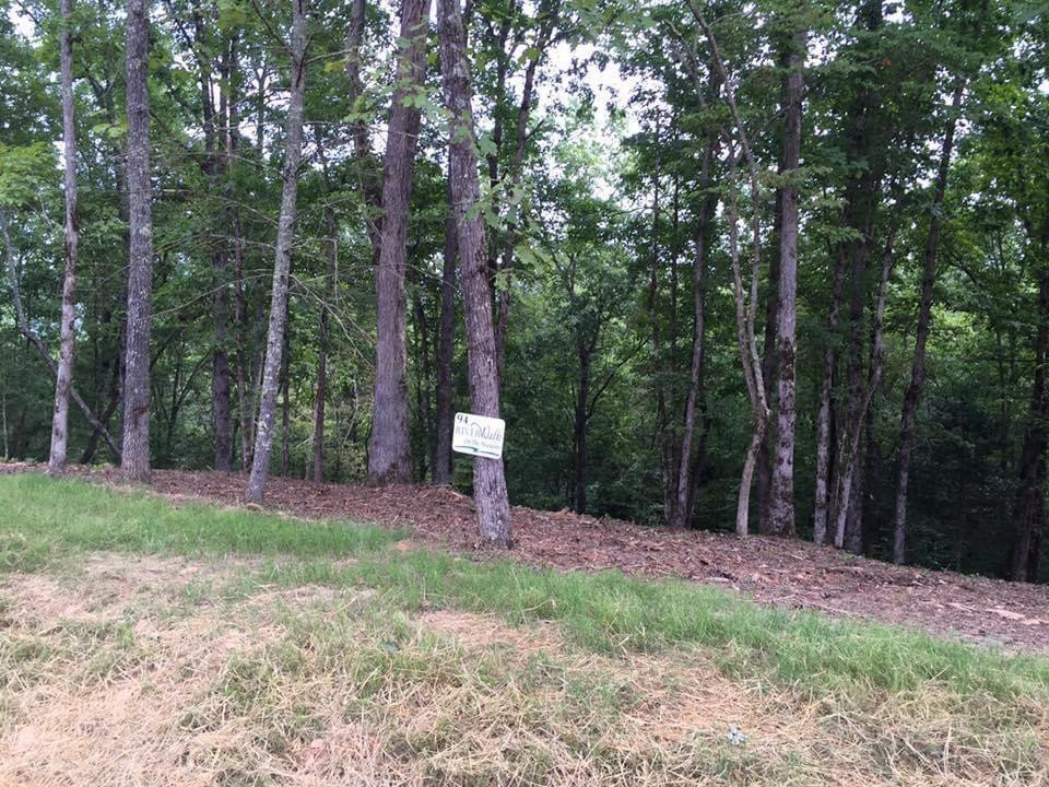 Lot #94 River Mountain Road Property Photo 6