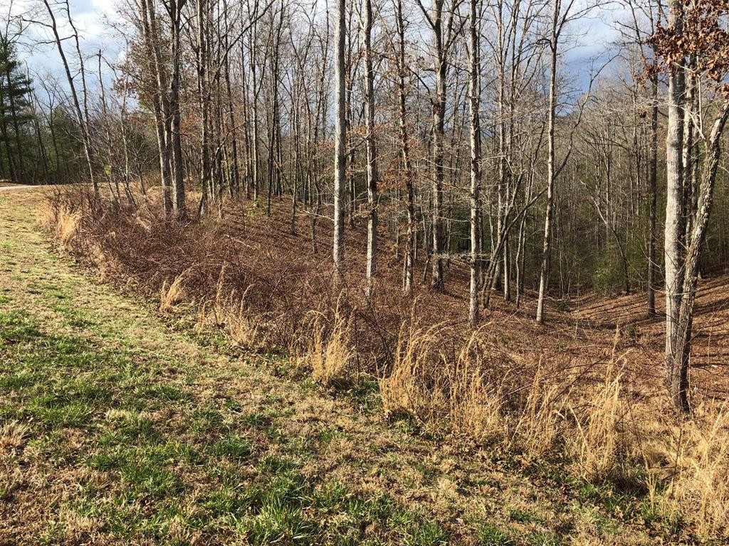 Lot #94 River Mountain Road Property Photo 9