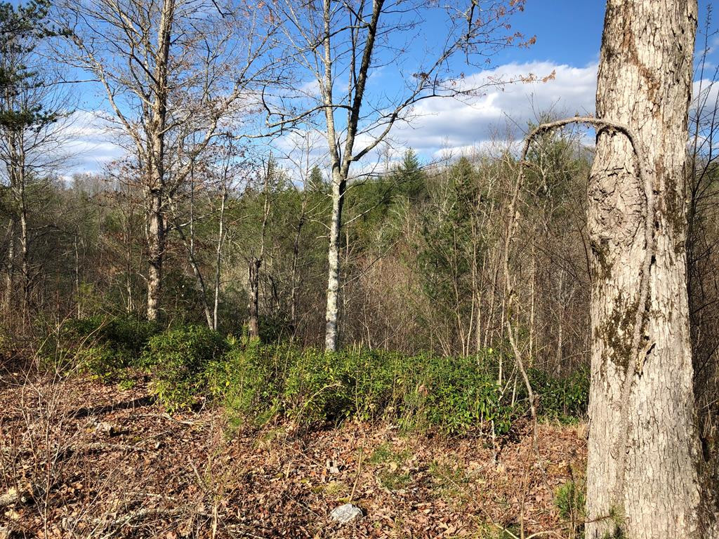 Lot #94 River Mountain Road Property Photo 11