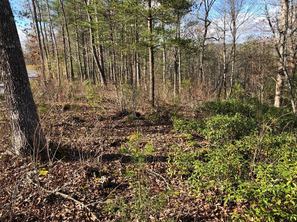 Lot #94 River Mountain Road Property Photo 12