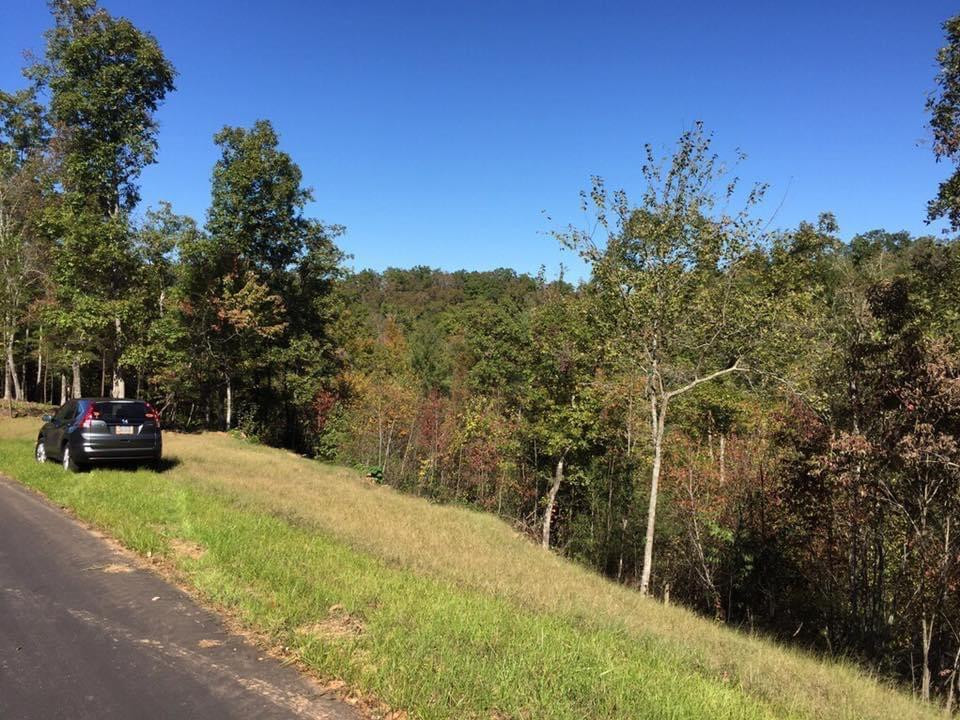 Lot #94 River Mountain Road Property Photo 13