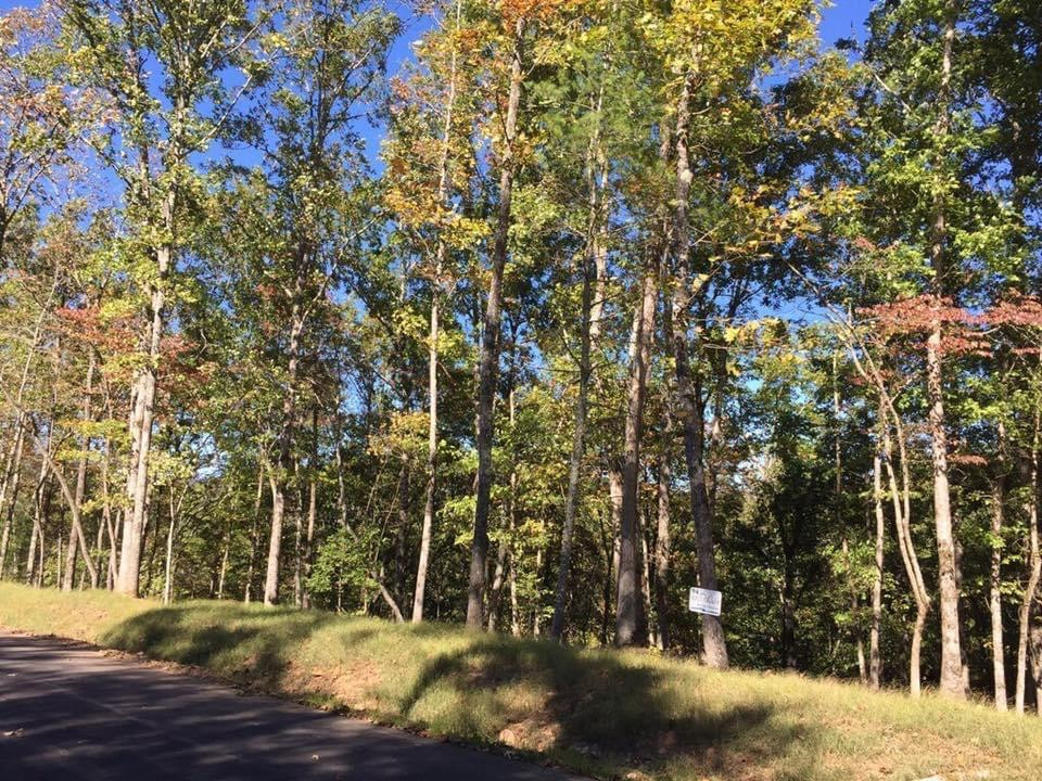Lot #94 River Mountain Road Property Photo 14