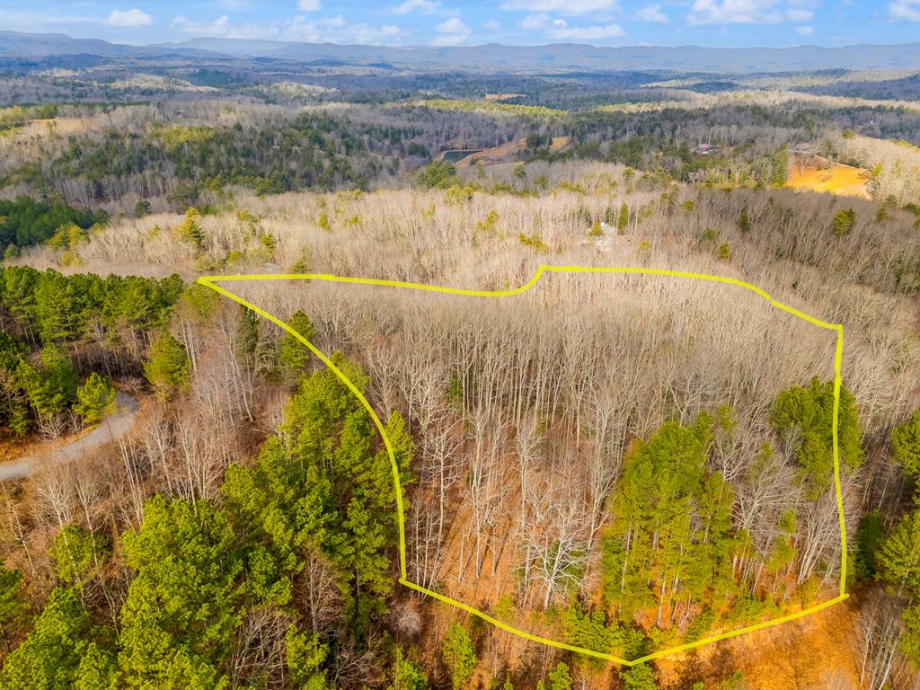 3.45 Ac Guy Eller Road Property Photo 1