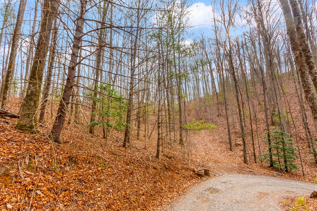3.45 Ac Guy Eller Road Property Photo 2