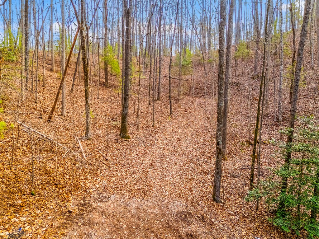 3.45 Ac Guy Eller Road Property Photo 3