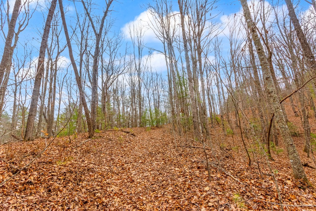 3.45 Ac Guy Eller Road Property Photo 5