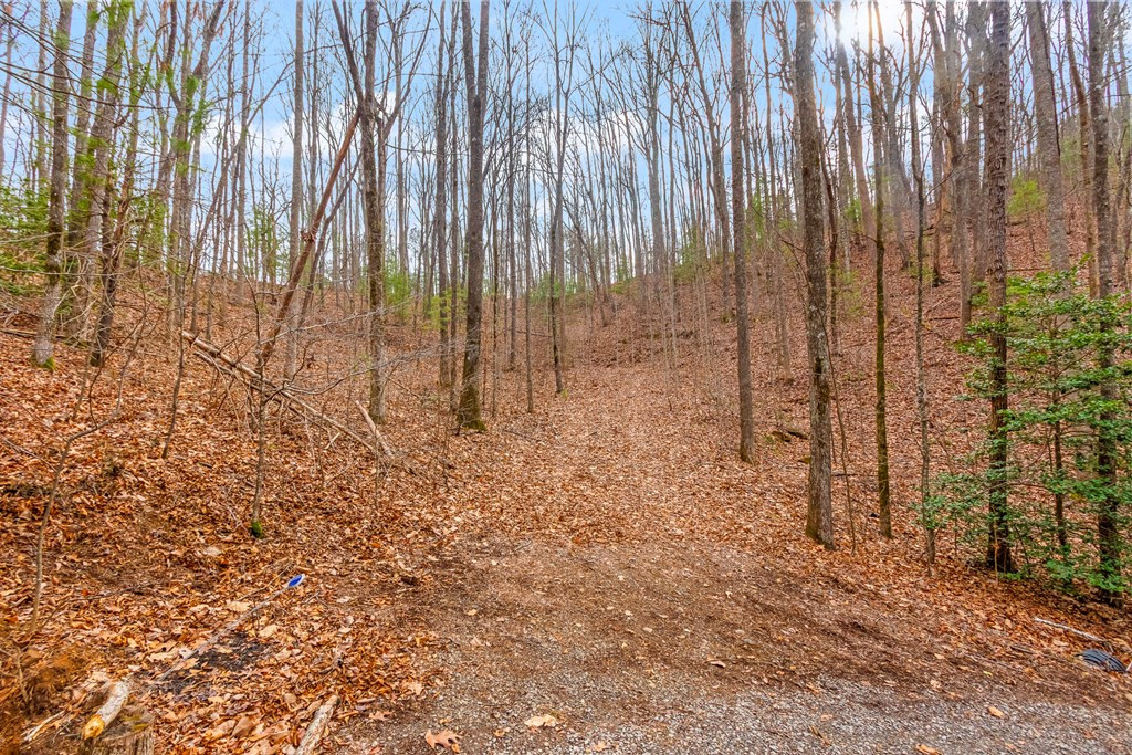 3.45 Ac Guy Eller Road Property Photo 6