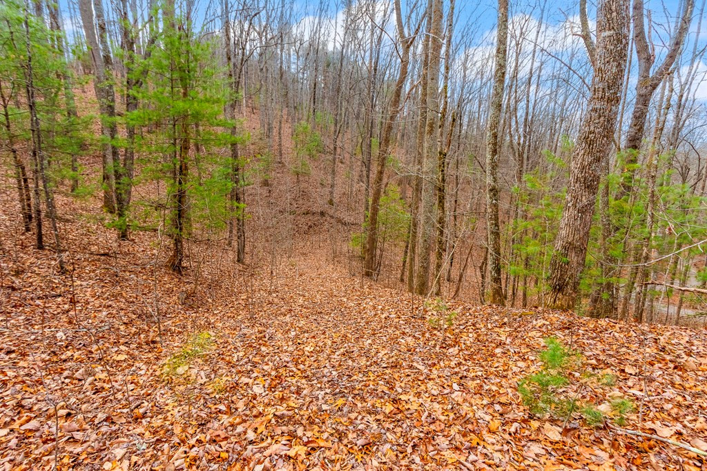 3.45 Ac Guy Eller Road Property Photo 7
