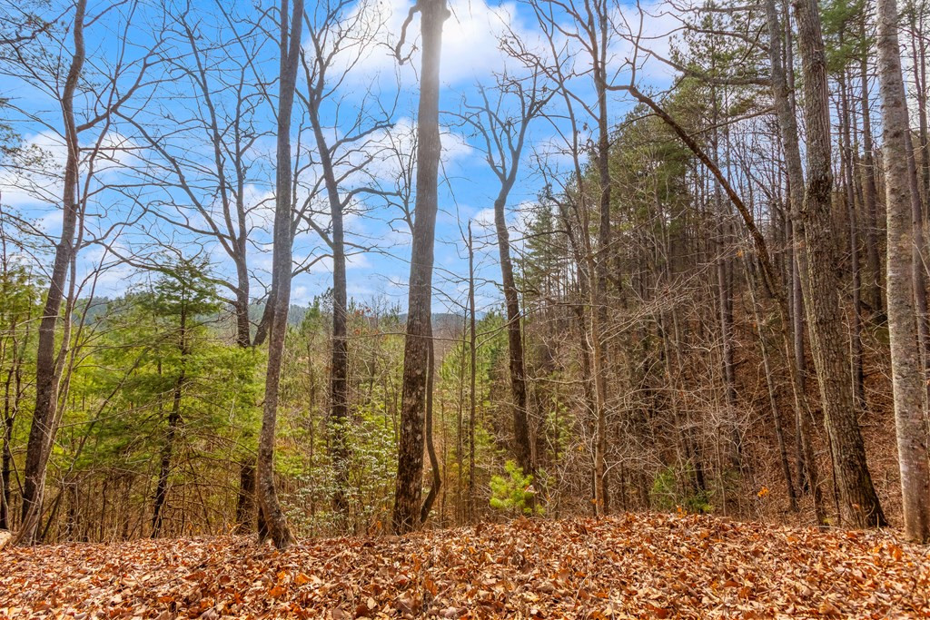 3.45 Ac Guy Eller Road Property Photo 10