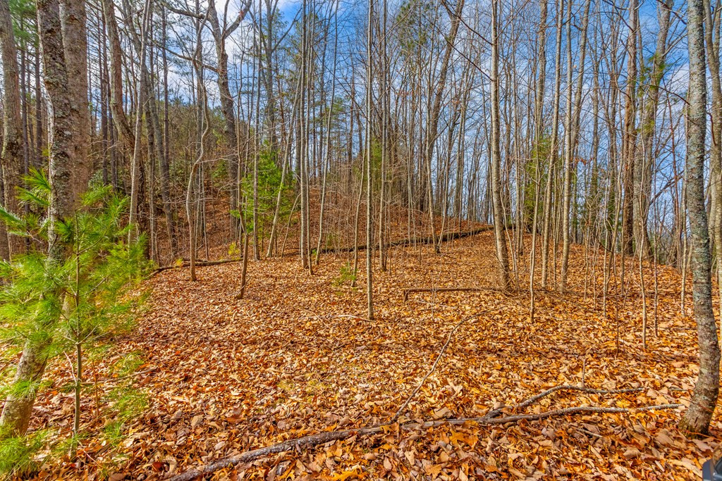 3.45 Ac Guy Eller Road Property Photo 12