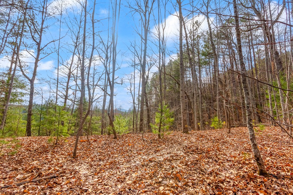 3.45 Ac Guy Eller Road Property Photo 13