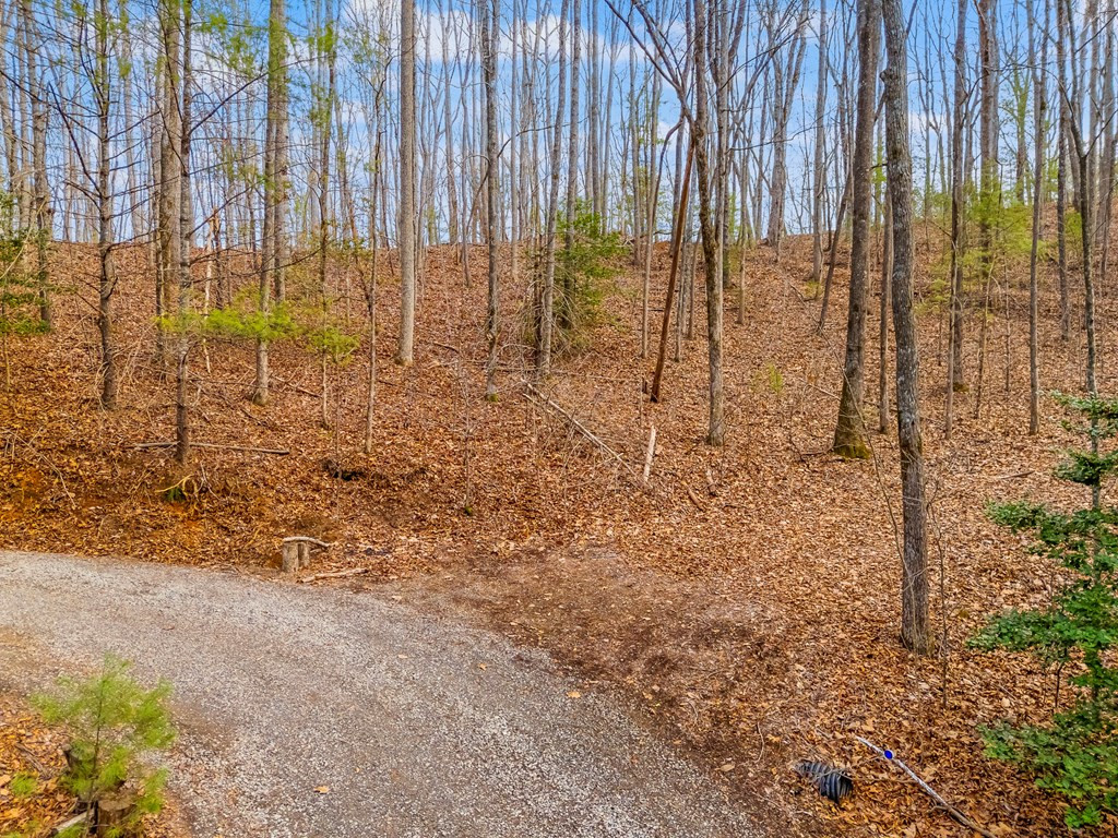 3.45 Ac Guy Eller Road Property Photo 14