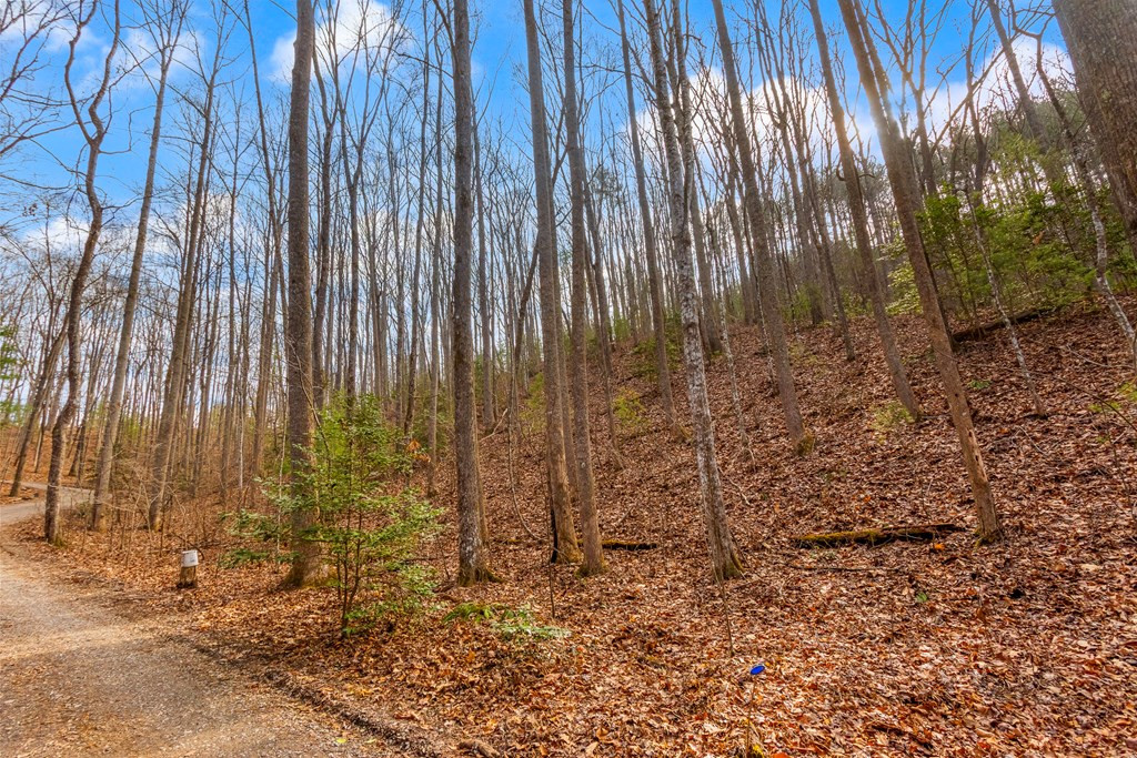 3.45 Ac Guy Eller Road Property Photo 15