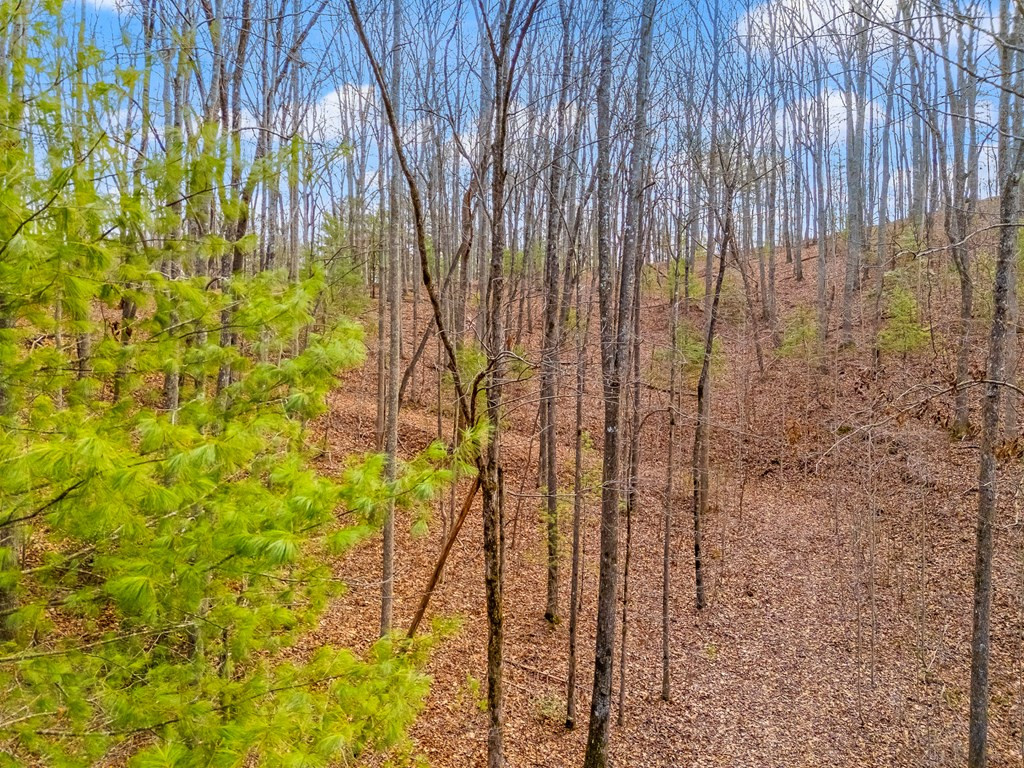 3.45 Ac Guy Eller Road Property Photo 16